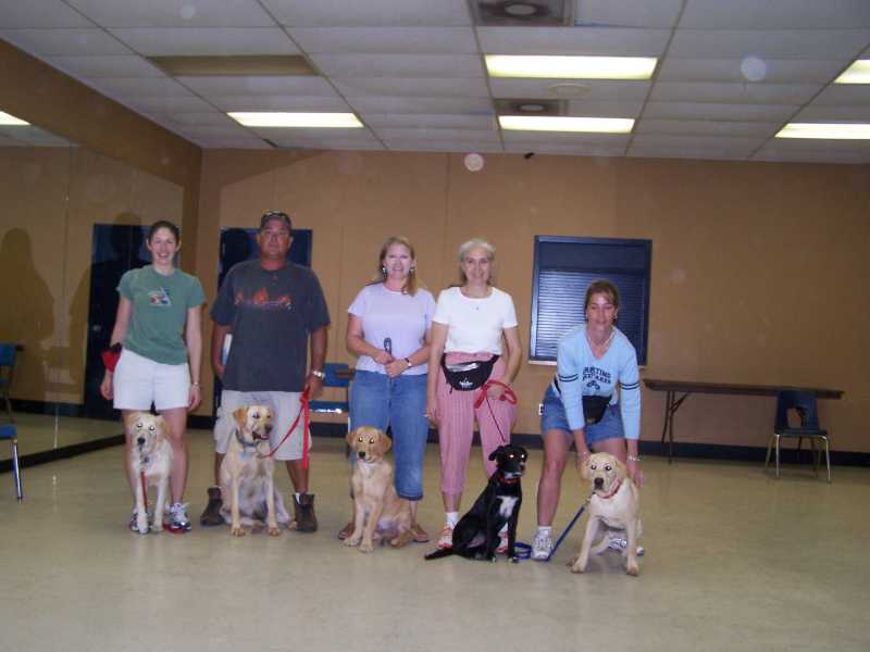 A beginner obedience class standing in a line with their dogs in a training hall