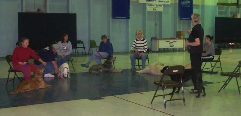 Handlers and their dogs seated on the floor during a Canine Good Citizen class